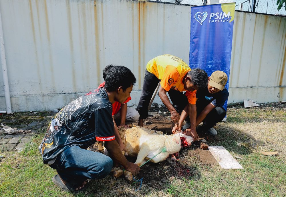 Laskar Mataram kembali menyelenggarakan agenda PSIM Empathy tahunan, yakni perayaan Iduladha 1447 Hijriyah dengan menyembelih tiga kambing.