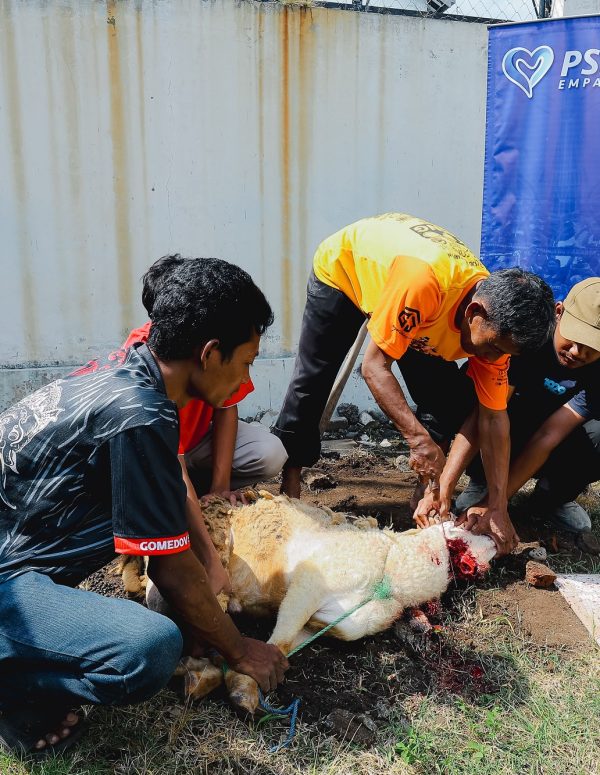 Laskar Mataram kembali menyelenggarakan agenda PSIM Empathy tahunan, yakni perayaan Iduladha 1447 Hijriyah dengan menyembelih tiga kambing.